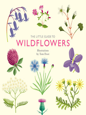 cover image of The Little Guide to Wildflowers